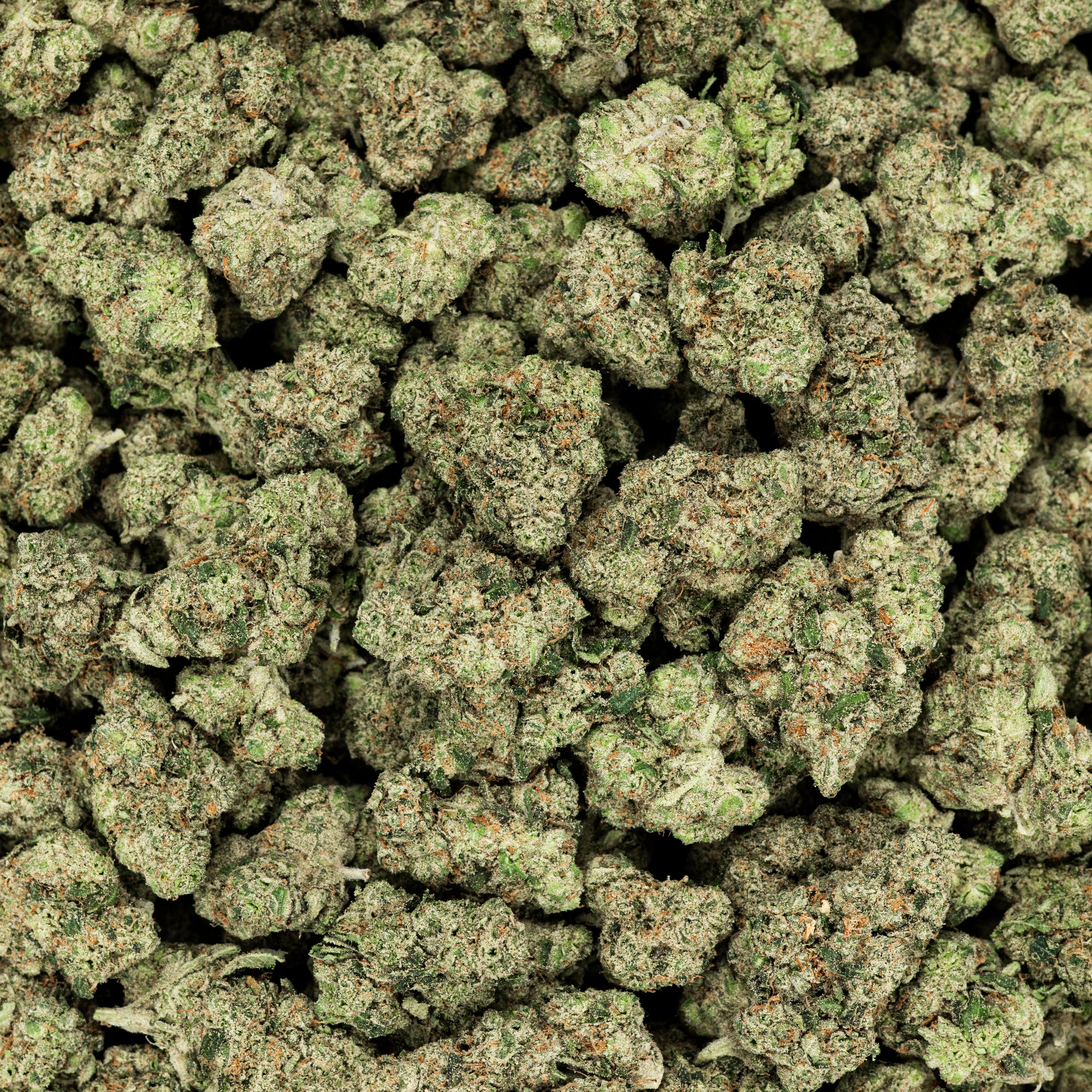 Revelry Citrus Smoothie THCA Flower 3.5G